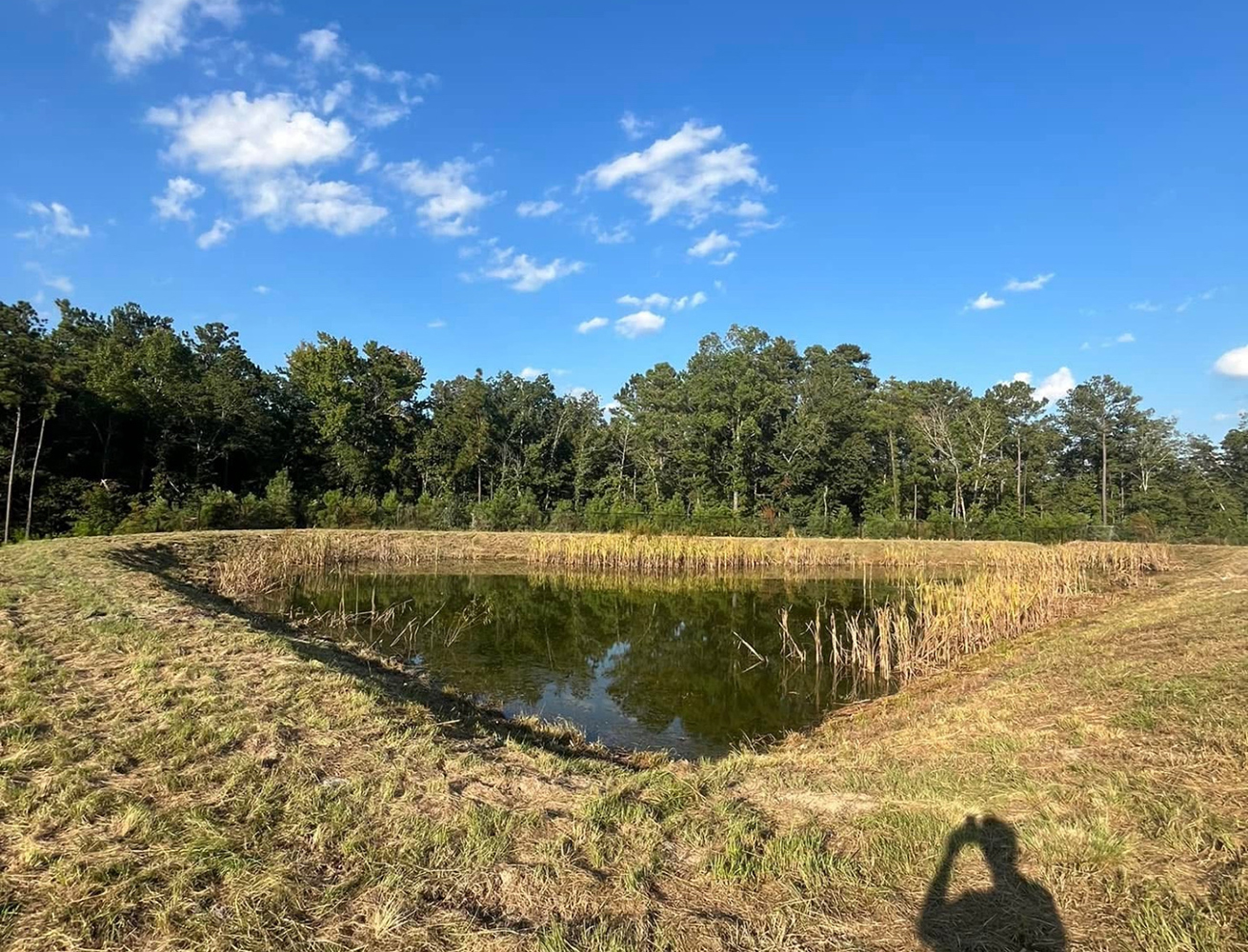 Cleaned and trimmed pond surrounded by mowed grass and trees in the background